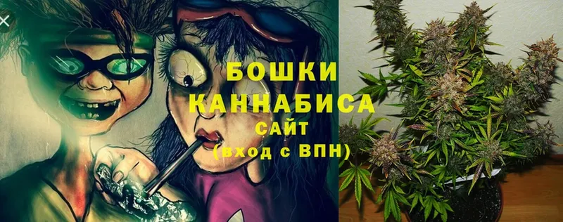 закладки  Старый Оскол  Шишки марихуана Amnesia 